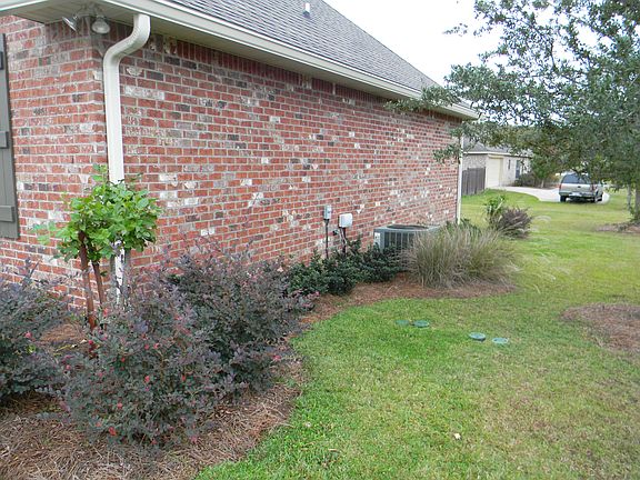 Landscaping along West Side