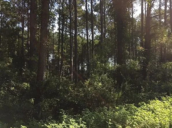 19 Braeburn Ln, Beaufort, SC 29907