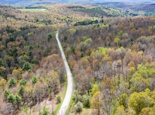 Lang Rd, Spencer, NY 14883