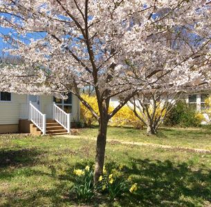 58 West Ave, Ocean View, DE, 19970