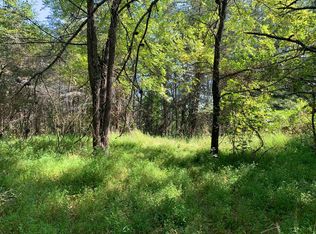 Cutcane Rd, Mineral Bluff, GA 30559