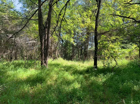 Cutcane Rd, Mineral Bluff, GA 30559