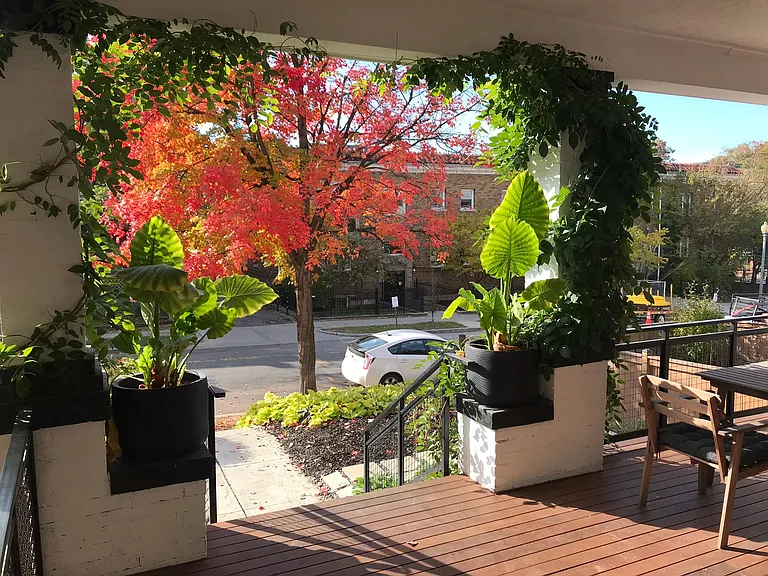 1349 Randolph St NW #1 — Photo 9