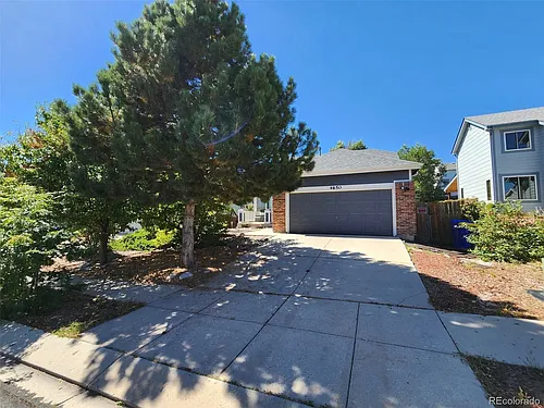 4650 Bittercreek Dr Photo 1