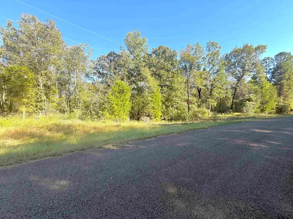 Township Road 6g Cres #4606, Troup, TX 75789
