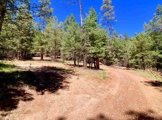 10 Eagle Loop, Cloudcroft, NM 88317
