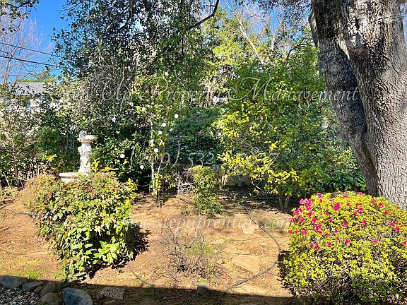 3rd image of 11145 Currey Dr