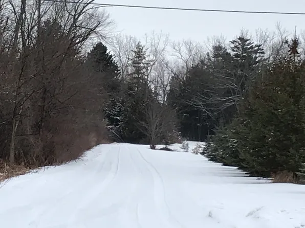 9643 Elk Lake Rd, Williamsburg, MI 49690