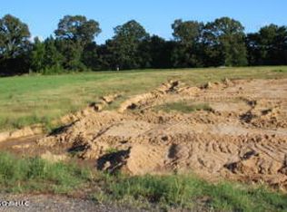 9 Chapel Hl, Holly Springs, MS 38635