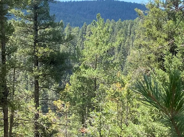 Heather Way, Cloudcroft, NM 88317