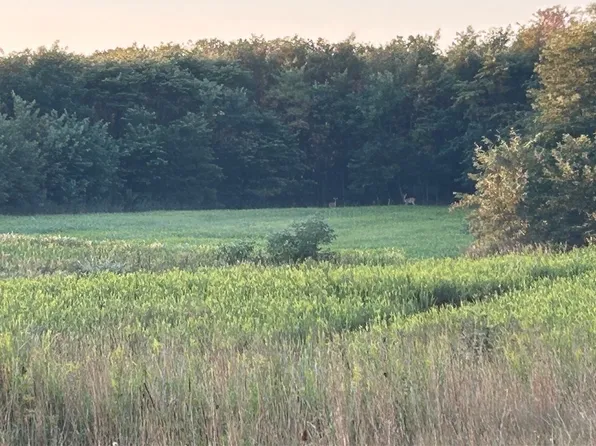 50 Acres Off, Cisco, IL 61830