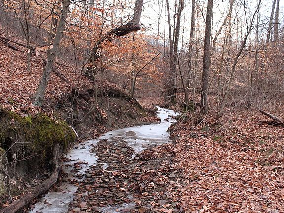 Stream near south boundary