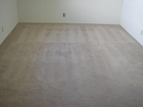 215 E Okeefe St #3 Photo 1