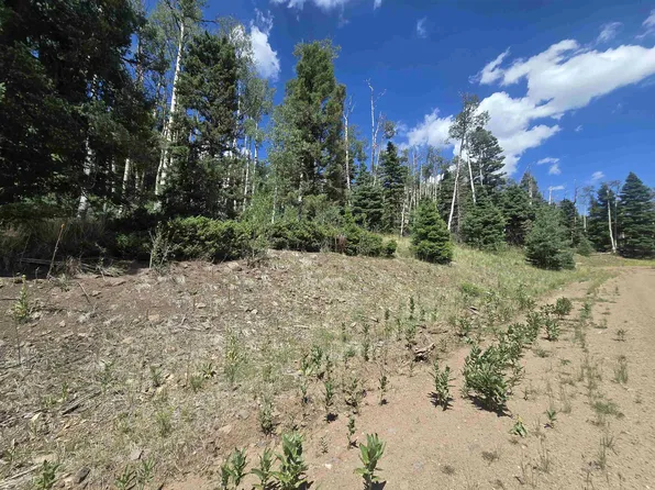 Lot 1302 Plesant Valley, Angel Fire, NM 87710