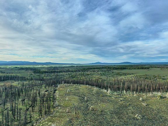 4th image of 0 Nf #3207