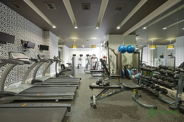 Rented by City View Living | media 28