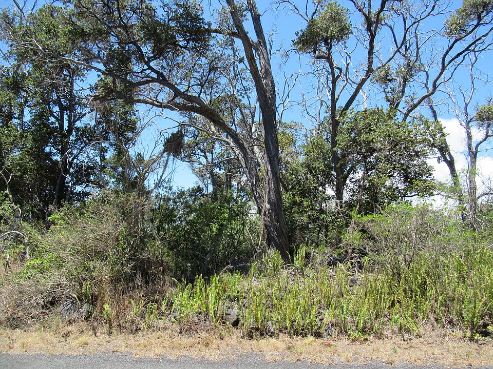 2nd image of Bamboo Ln Lot 10