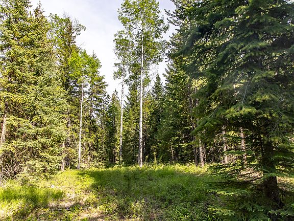 4th image of Nhn Fortine Creek Rd