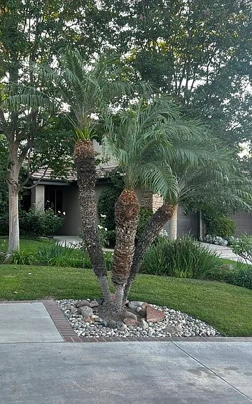 103 Beggerly Cir — Photo 45