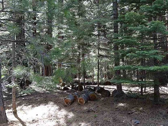 2nd image of 565 Peninsula Dr
