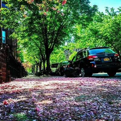 Rented by R New York | media 4