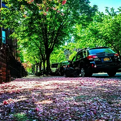 Rented by R New York