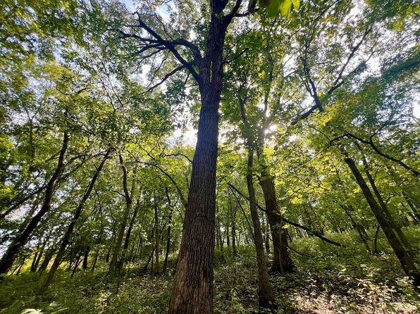 Macksburg Rd LOT WP001, Lorimor, IA 50149