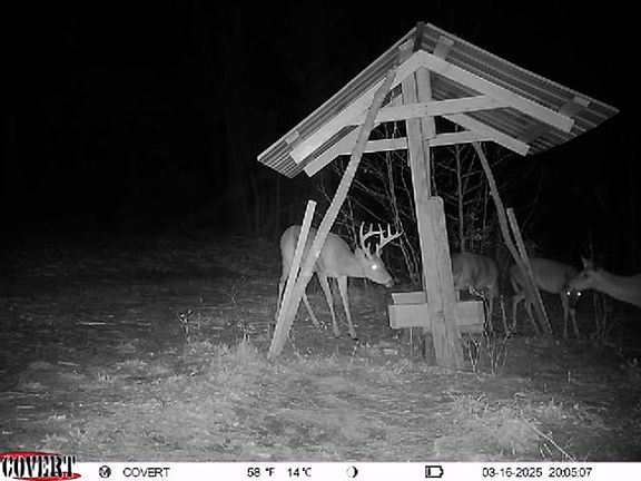 4th image of 1050 Cedar Creek Landing Rd