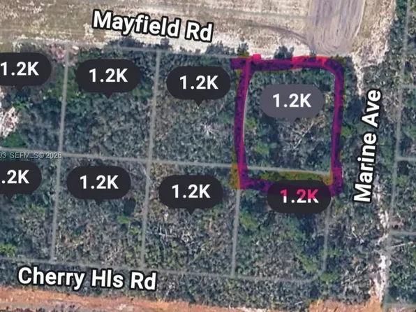 25153 Marine Ave, Sebring, FL 33875