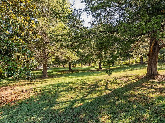 4th image of 161 Brewster Road