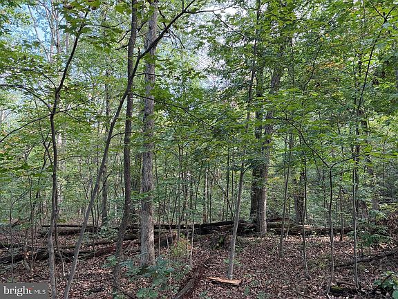 4th image of Sugar Maple Ln