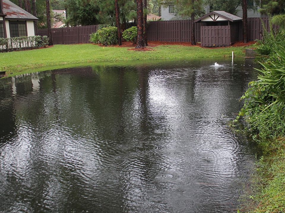 2nd image of 791 Greenwood Manor Cir