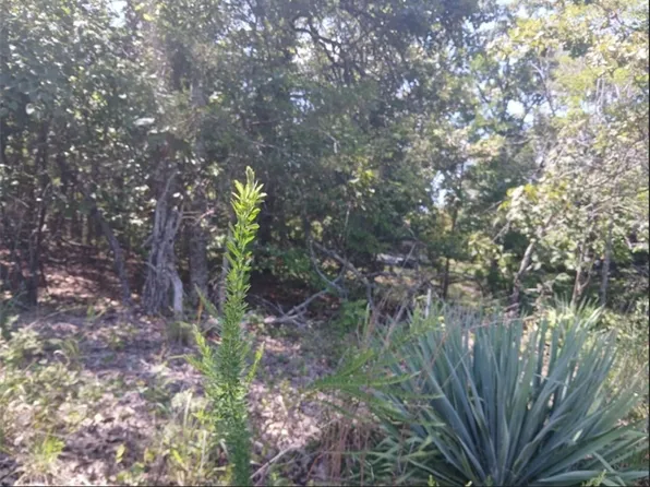 S Highland Blvd, Mountain Home, AR 72653