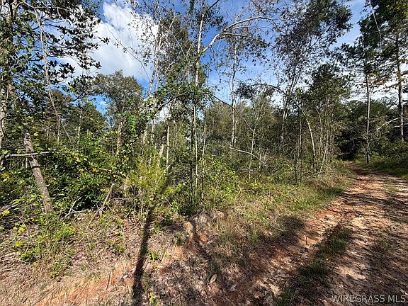 5th image of 0 County Road 4425