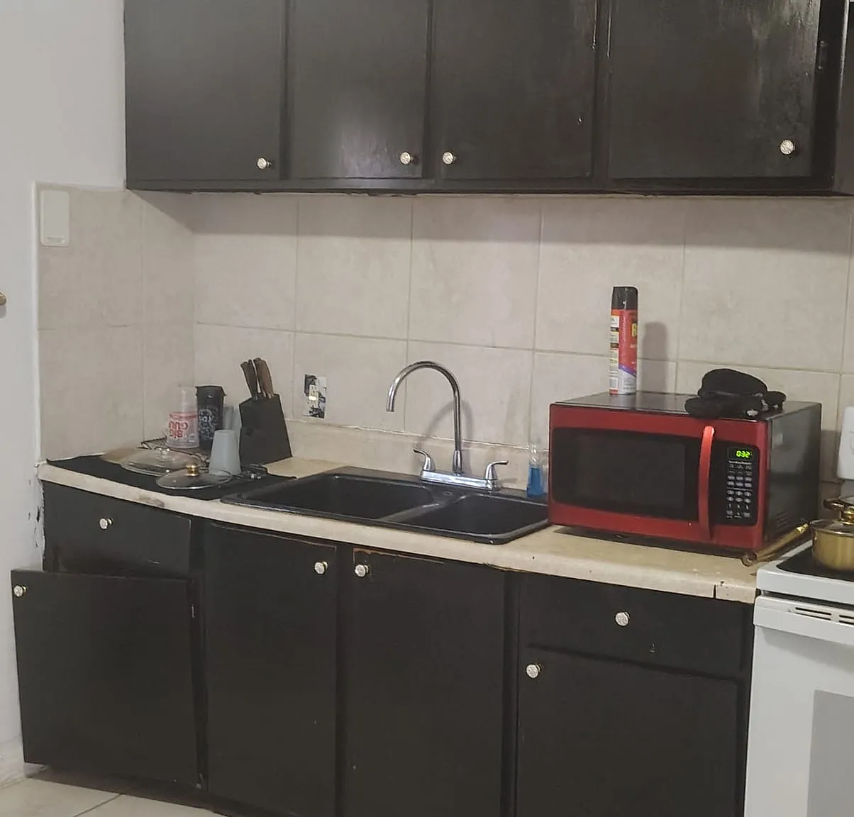 3 bed, 1236 sqft, $1,600 — Photo 2