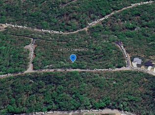 LOT 1312 Champion Dr, Sunrise Beach, MO 65079