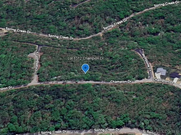 LOT 1312 Champion Dr, Sunrise Beach, MO 65079