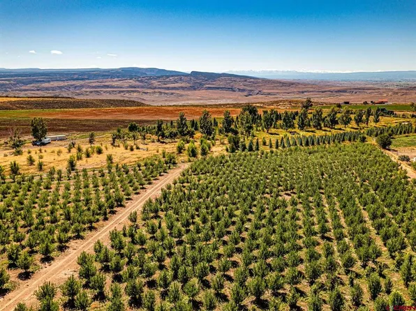 12148 Burritt Road, Hotchkiss, CO 81419