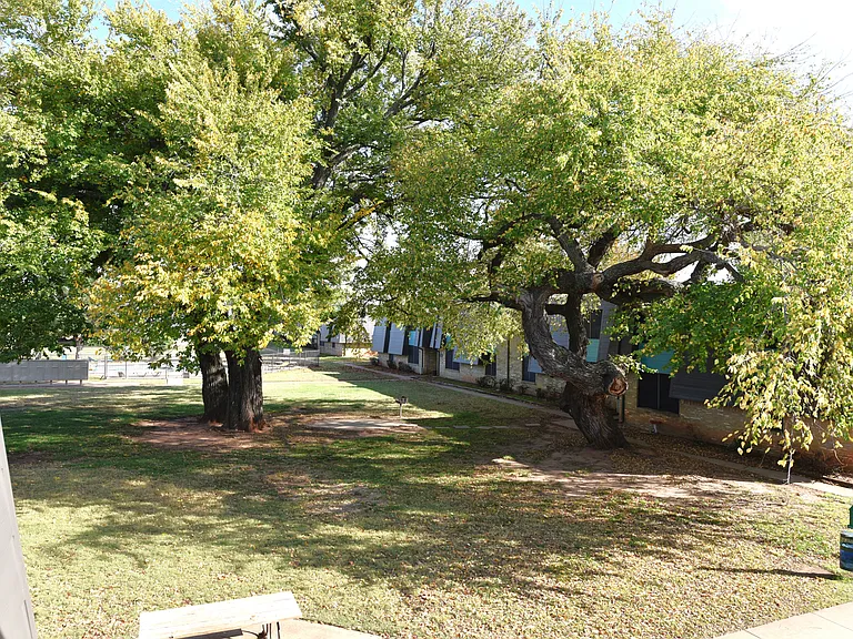 Raintree Meadows Apartments — Photo 5
