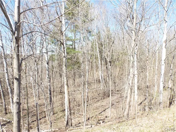 0 Ikeys Crossing Rd #31, Adams, NY 13605