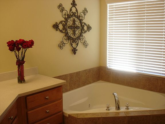 Master Bath Tub