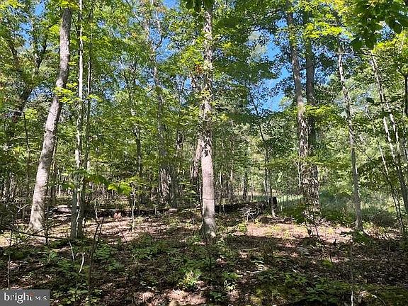 5th image of Cardinal Dr