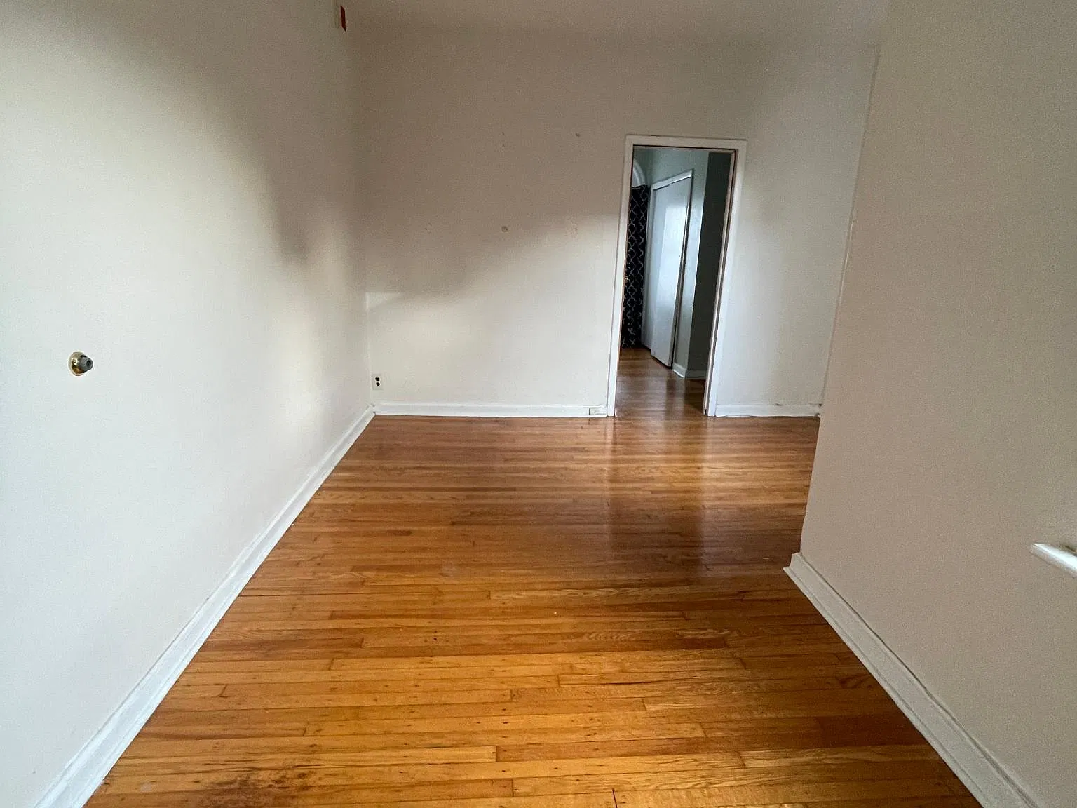 1 bed, 1000 sqft, $1,600 — Photo 3