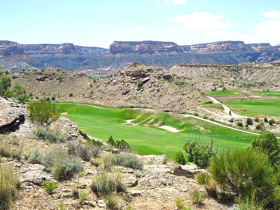 Overlooking the cousre