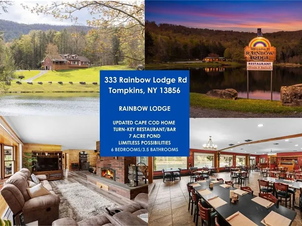 333 Rainbow Lodge Rd, Walton, NY 13856