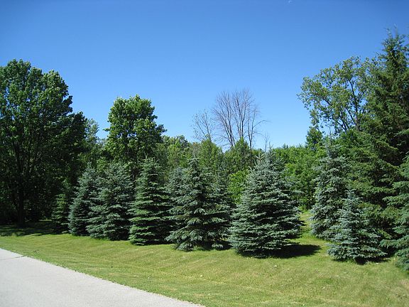 4th image of N 12th Pl