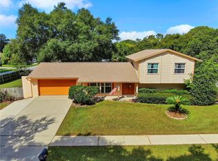 3503 Cleo Ln, Valrico, FL 33596