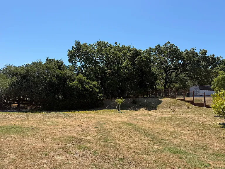 427 Bloom Ln — Photo 46