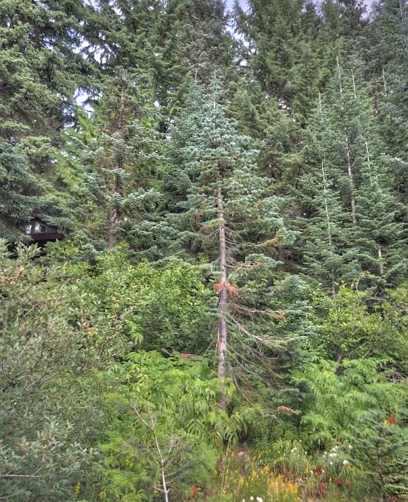 1st image of 0 E Blossom Trl