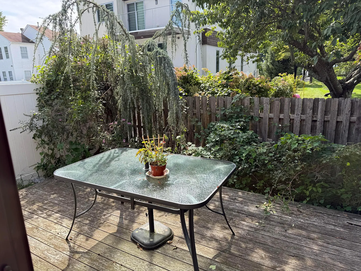 2 bed, 1.5 bath, 1264 sqft, $1,900 — Photo 2